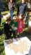 image 08 thumbnail